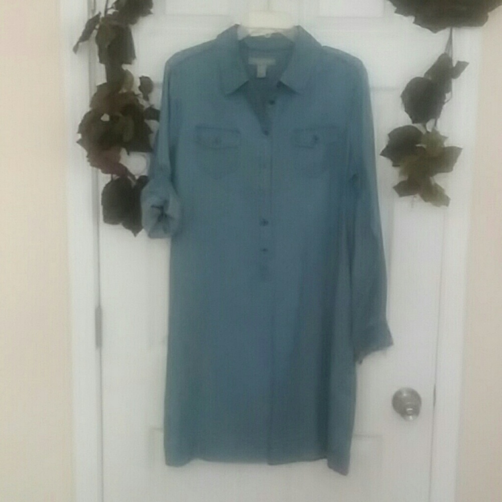 Banana Republic Chambray Dress